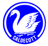 Caldecott Primary School